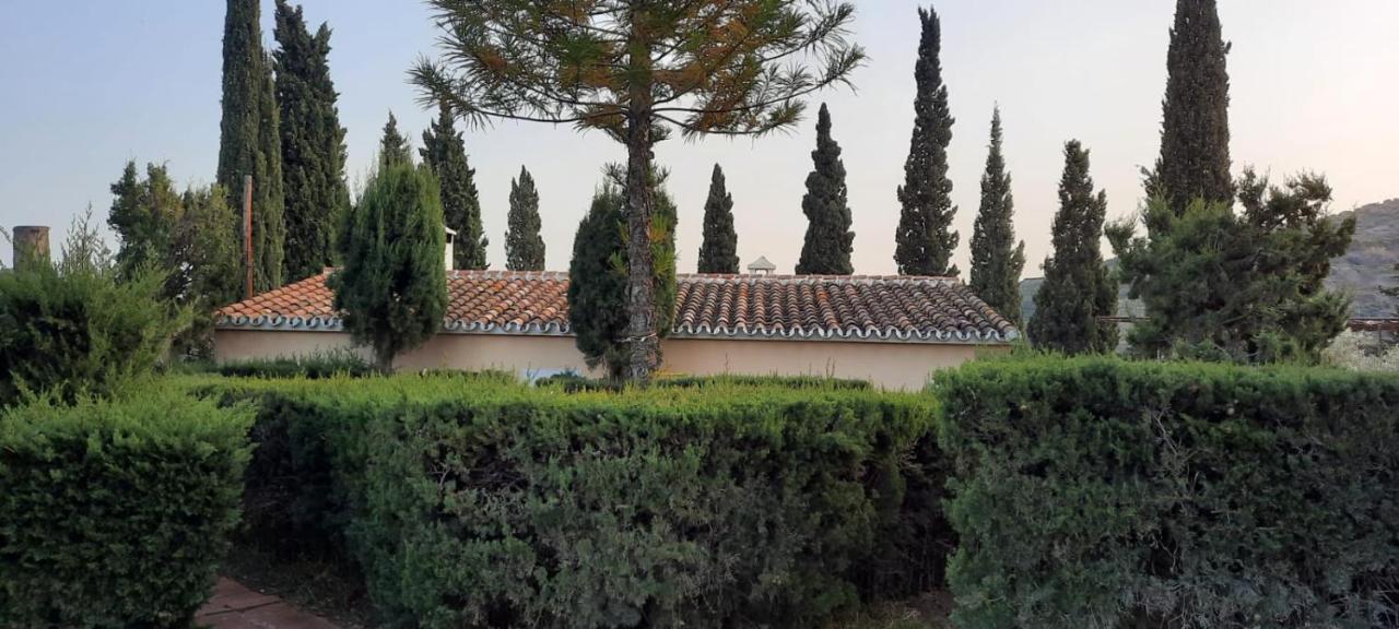 Antigua Finca De Ayo Y Karina Villa Frigiliana Kültér fotó