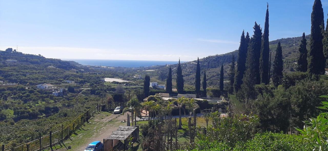 Antigua Finca De Ayo Y Karina Villa Frigiliana Kültér fotó